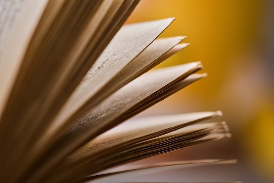 Bestellt Amazon seltene Bücher für das Training seiner KI-Modelle?
